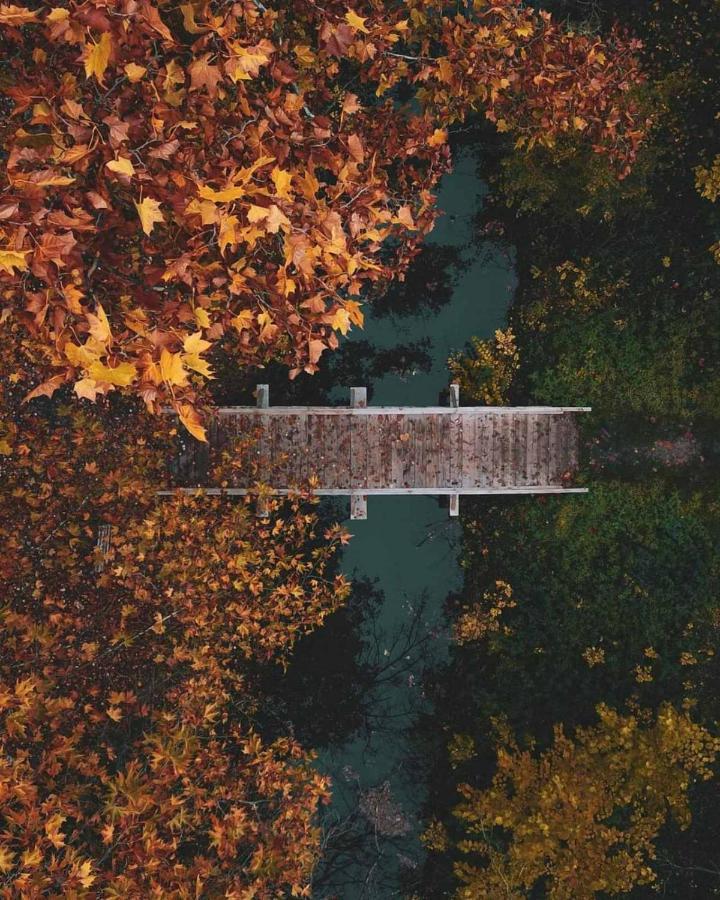 Hotel Biser Panonija Duboka Dış mekan fotoğraf